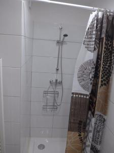 博尼法乔Duplex sur un fameux Grain de sable的带淋浴和浴帘的浴室