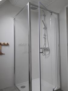 BaarsNatuurhuisje Wolterholten的浴室里设有玻璃门淋浴
