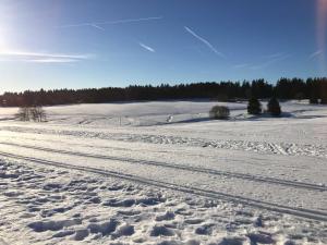 BuntenbockPrivatvermietung Ina的远处有一片树木覆盖的雪地