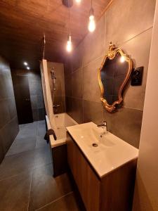 阿特Chez Claude appartement cozy climatisé pour 4 personnes tout confort的一间带水槽、淋浴和镜子的浴室
