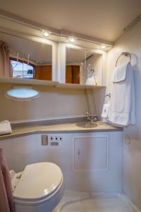 波士顿Sea Pearl Boston Yacht的一间带卫生间、水槽和镜子的浴室