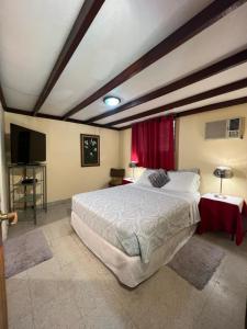 埃尔巴列德安通Valle Paradise的一间卧室配有一张大床和电视