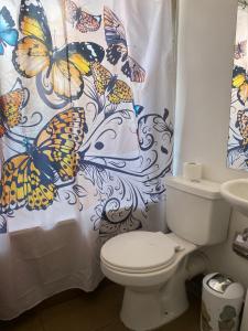 圣地亚哥Casa 3 habitaciones exclusiva valle lo campino的浴室设有卫生间和带蝴蝶的浴帘