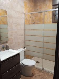La Puebla de MontalbánEl capricho de Diego的浴室配有卫生间、盥洗盆和淋浴。