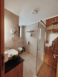 亚霍里纳Vila Jelena的带淋浴和卫生间的浴室