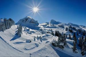 安纳马斯Magnifique Loft - Hyper Centre的天空中白雪覆盖的山