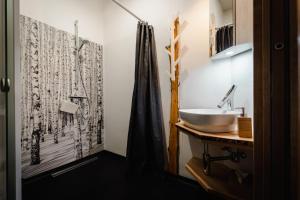 Pesnica pri MariboruNaturasort Holiday Houses的一间带水槽和淋浴的浴室