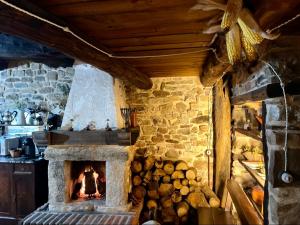 莱昂Elpajardeportilla的厨房里设有石头壁炉,厨房里放着一堆木柴