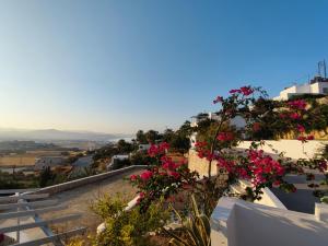 阿达玛斯阿格南提酒店的从带粉红色花卉的房屋阳台欣赏风景