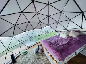 MurilloStellarium Glamping的一间卧室配有带紫色床的帐篷