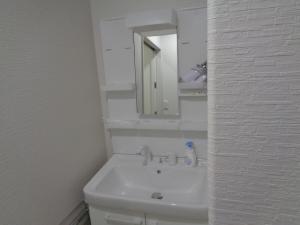 河津町Villa House Hisago - Vacation STAY 61410v的白色的浴室设有水槽和镜子
