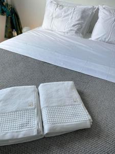 圣丹尼斯T2 Saint-Denis -Jardin de l'Etat的床上有两条白色毛巾