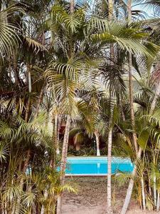 伊斯塔帕CASA HUELLAS EN LA ARENA的一群棕榈树在游泳池前