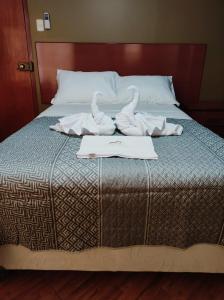 纳斯卡Hostal Casa de Ana的两个天鹅坐在床上,带毛巾