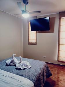 纳斯卡Hostal Casa de Ana的卧室配有一张床铺,墙上配有电视
