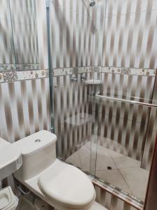 纳斯卡Hostal Casa de Ana的一间带卫生间和玻璃淋浴间的浴室
