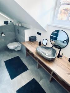 巴德加斯坦Chalet Badberg的一间带水槽、镜子和卫生间的浴室