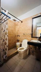 马拉里Manu Villa-A Luxury Stay in Manali的一间带卫生间和水槽的浴室
