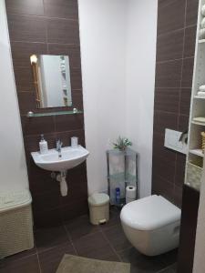 普日博尔Apartmány Šitavanc的一间带卫生间和水槽的浴室
