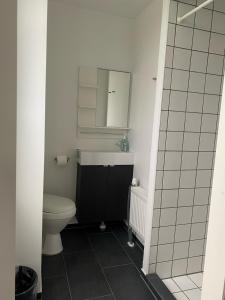 HolebyOnlySleep Femern的一间带卫生间和镜子的浴室