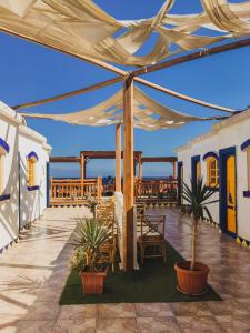 达哈布海王星酒店 的一个带帐篷和盆栽植物的庭院