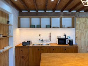 Mount RoadGreenHouse APARTMENT的厨房配有水槽和微波炉