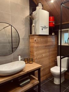 贝亨奥普佐姆Vakantiehuis de Heide的浴室配有白色水槽和卫生间。