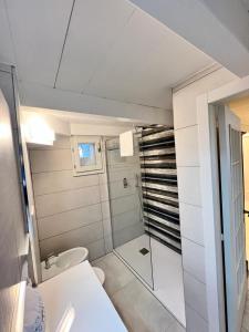 泰尔莫利La dimora sul porto的带淋浴和卫生间的小浴室
