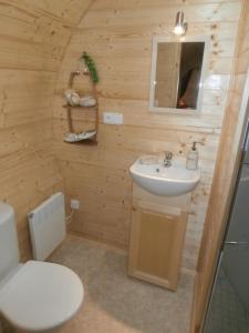 Xertignyroulotte viticole的木制浴室设有水槽和卫生间