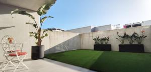 阿威罗Casa das Falcoeiras - Estúdio com terraço privado的阳台拥有绿色草坪和2种盆栽植物