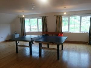 SallachyBunloyne的客厅设有乒乓球桌和窗户