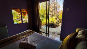 卡萨内Elephant Trail Guesthouse and Backpackers的一间卧室设有一张床和一个大窗户