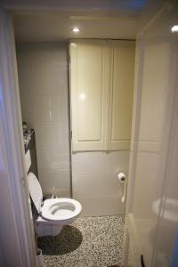乌得勒支Obrecht Welcome的一间带卫生间和橱柜的小浴室