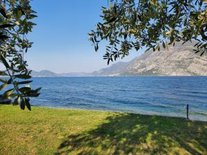 伊塞奥Camping Pilzone的享有一大片水景