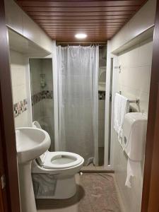 巴尼奥斯Hermoso apartamento en Baños de Agua Santa的浴室配有卫生间、盥洗盆和淋浴。