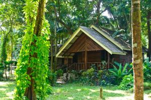 考索Khao Sok Riverside Cottages的森林中间的小木屋