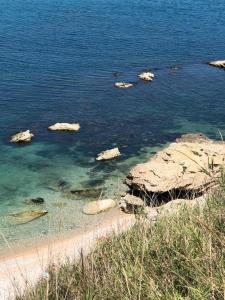 ColognaDèpendance immersa tra gli ulivi的一片岩石和海滩的水域