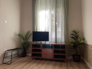 雅典ak apartments的客厅配有木柜上的平面电视