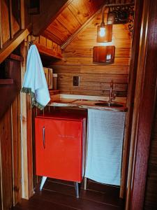 加里波第Locanda 65 - Serra Gaúcha的一个带水槽和红色橱柜的厨房
