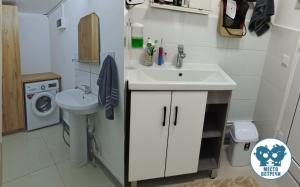 比什凯克Место встречи "Guest House Meeting place"的一间带水槽和洗衣机的浴室