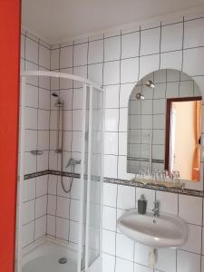 瑙吉考尼饶Medgyaszay Panzió的带淋浴、盥洗盆和镜子的浴室