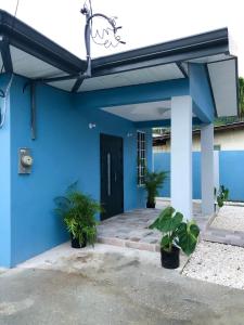 The Blue Moroccan Door - A modern 3 bedroom,2 bathroom home的一座蓝色的建筑,有黑色的门和植物