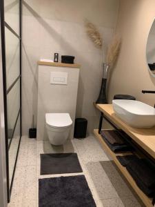 斯塔普霍斯特Het Atelier, sfeervolle B&B compleet appartement in hartje Staphorst的浴室配有白色卫生间和盥洗盆。