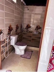 瓦迪拉姆MOHAMMED ZAWAIDAH CAMP的一间带卫生间和淋浴的浴室
