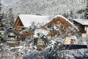 冬天的Haus Zillertal am Achensee