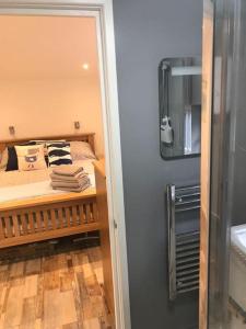 欣顿Hideaway Cabin for two on edge of New Forest的一间卧室配有一张床和镜子