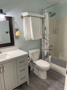 Sunrise Mountain view Skidegate House的浴室配有卫生间、盥洗盆和淋浴。