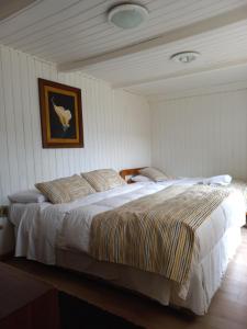 比亚里卡Hostería Alemana的一间卧室,卧室内配有一张大床