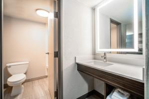 梅萨Holiday Inn Express & Suites Phoenix - Mesa West, an IHG Hotel的一间带卫生间、水槽和镜子的浴室