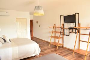 卢汉德库约Villa Mendotza的一间卧室设有一张床、一台电视和梯子